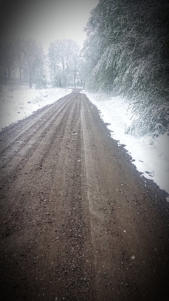 20200512_084648.jpg - Tabas0