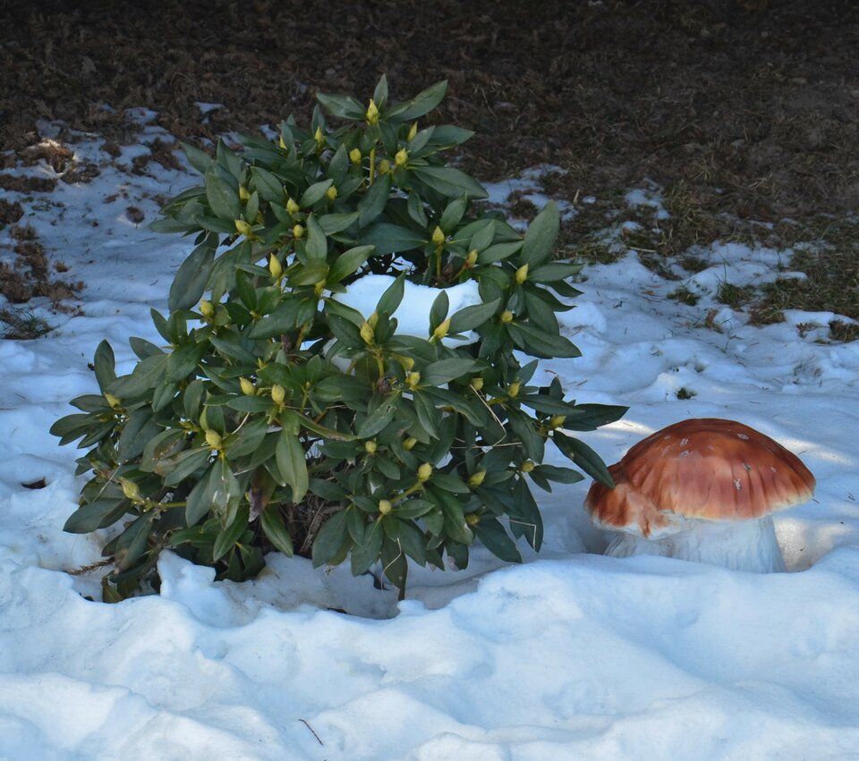 DSC_6844 (2).JPG - 321boa