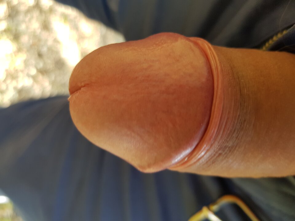 20200512_173202.jpg - josif10