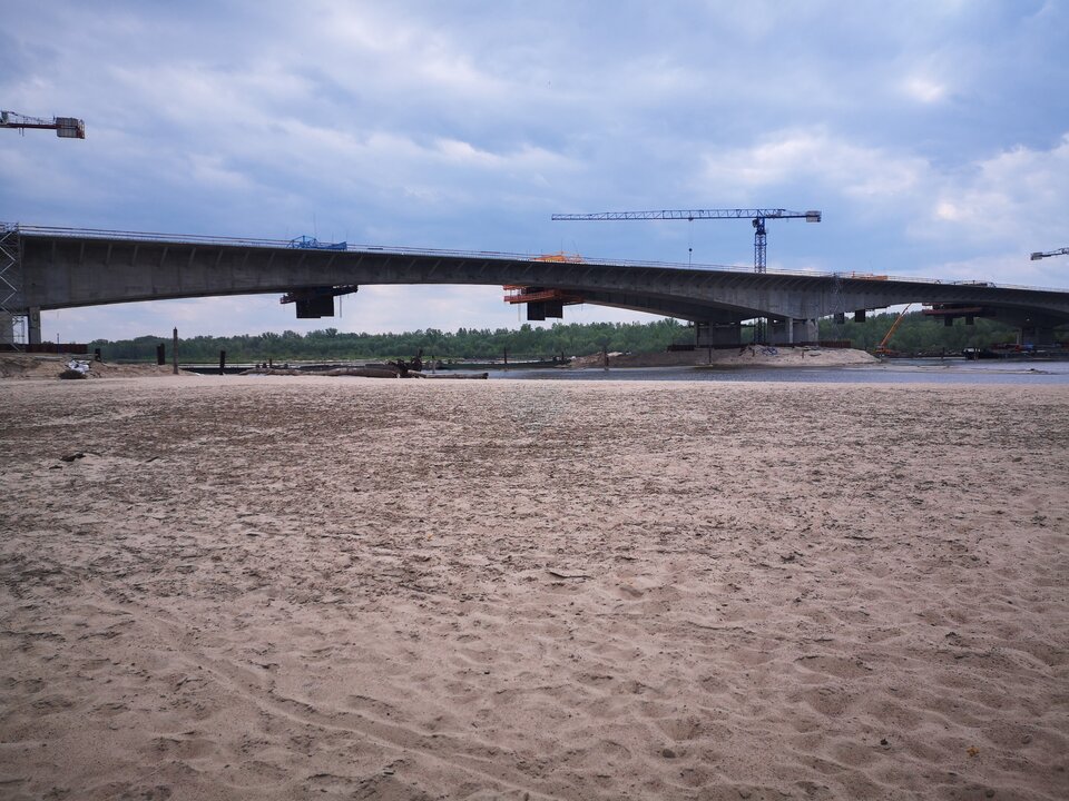 20200513.jpg - tiburons