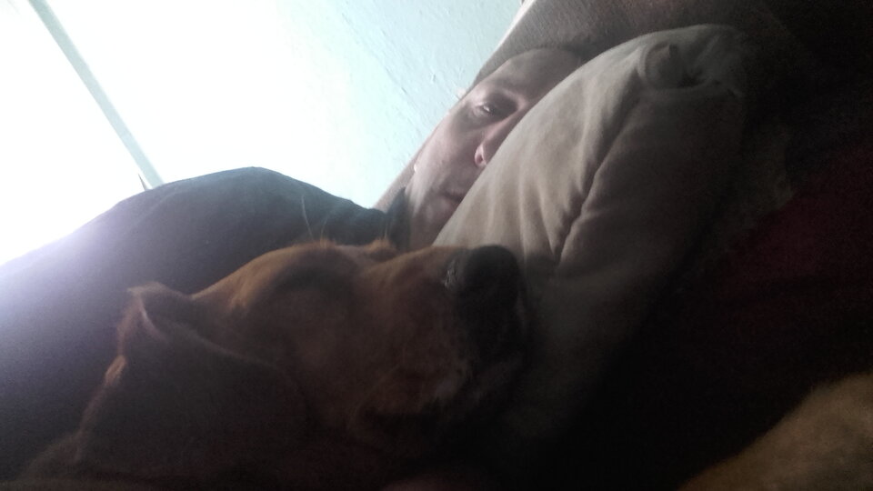 20200514_064111.jpg - bojman8