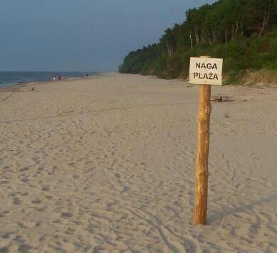 25_big~2.jpg - nocna_para