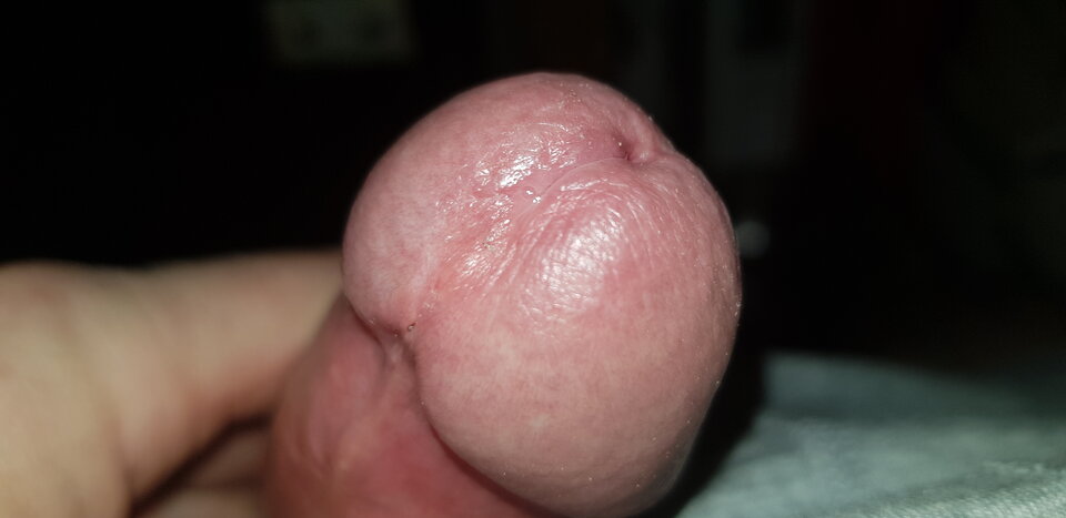 20200513_154529.jpg - RYSIO666