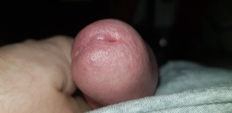 20200513_154535.jpg - RYSIO666