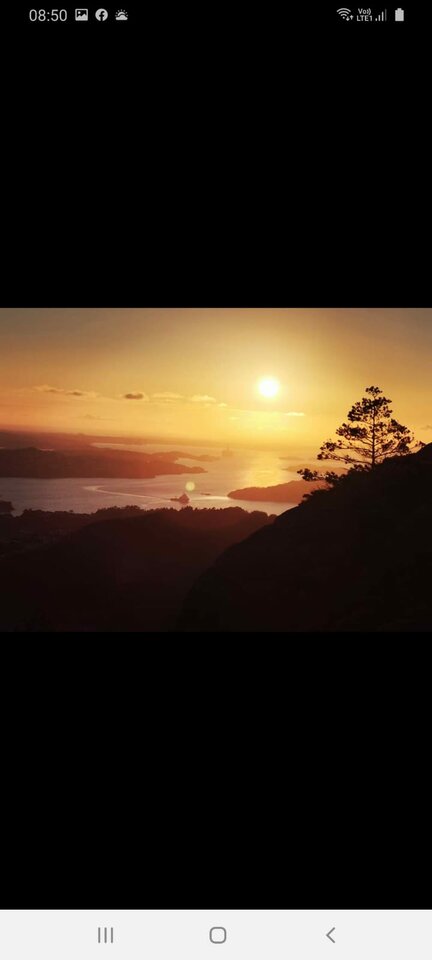 IMG-20200515-WA0000.jpg - zibarsan