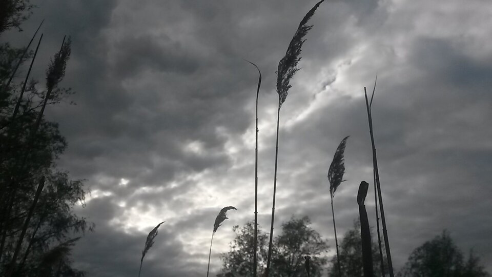 20200516_174007.jpg - Ina69