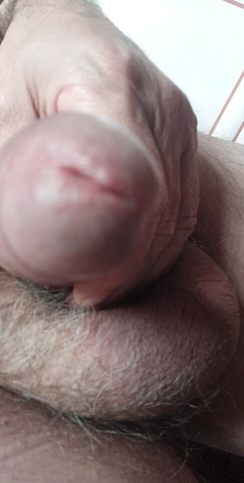 97235141_771440323387473_7369015959731830784_n.jpg - konrad5258