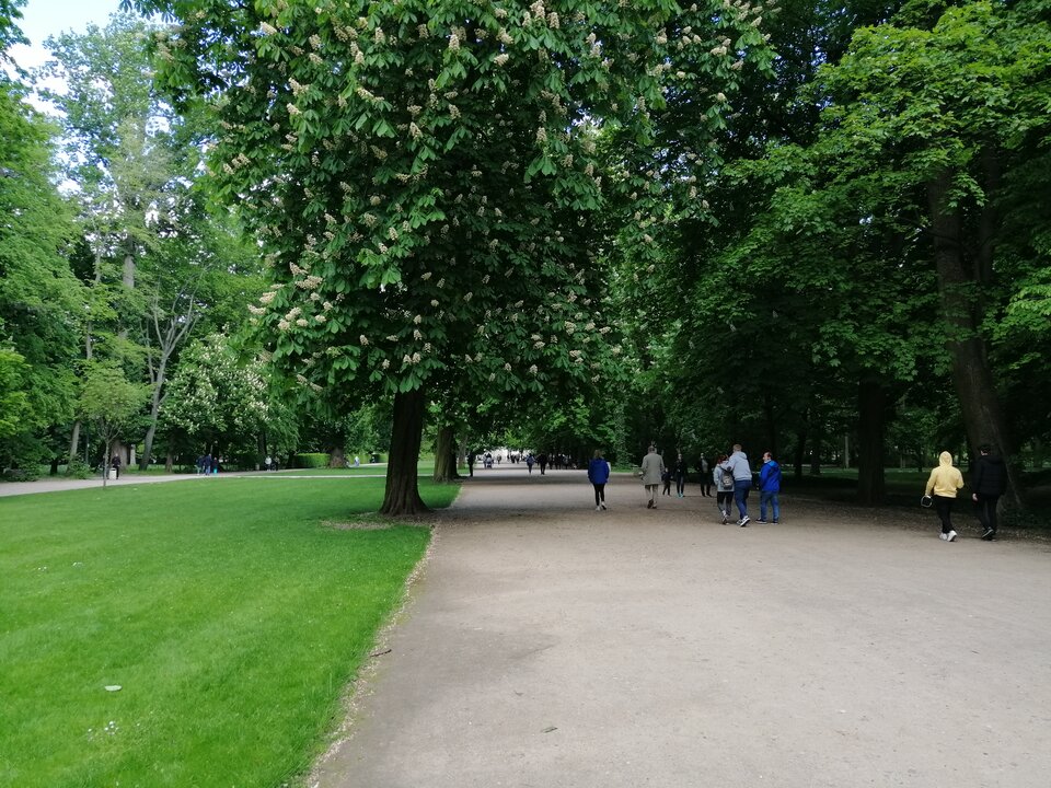 IMG_20200517_162722.jpg - AndWawa1990