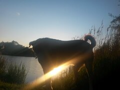 ....lubię to zdjęcie