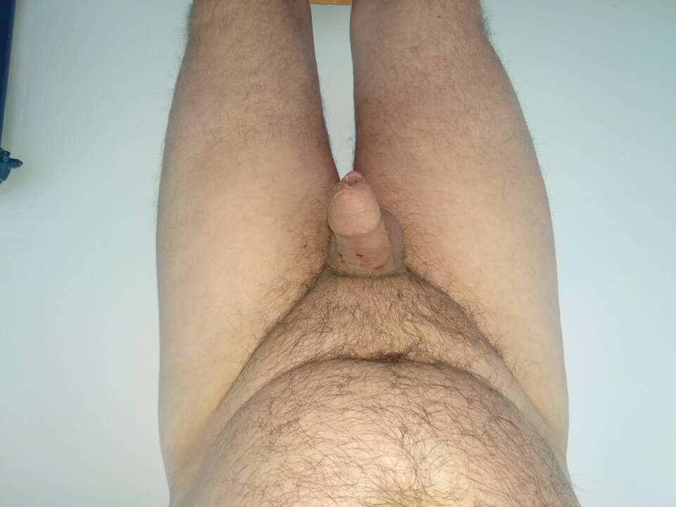 15897827919017584212735074851783.jpg - dupekalex