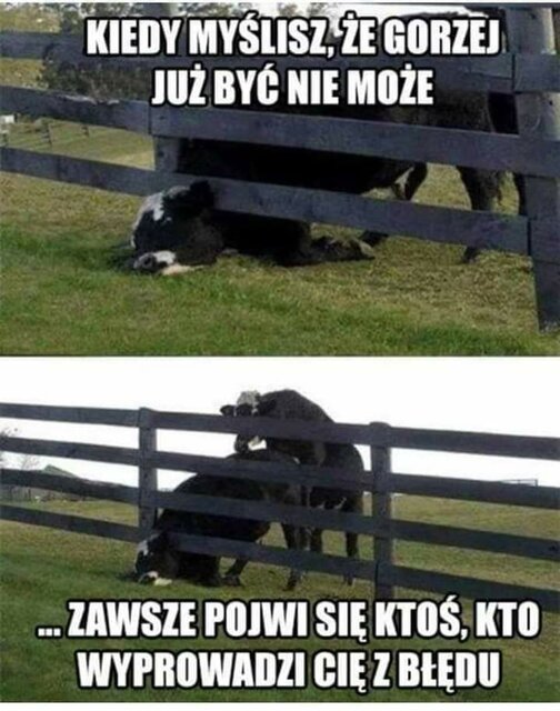 received_248801093144931.jpeg - FajnyMasazysta28