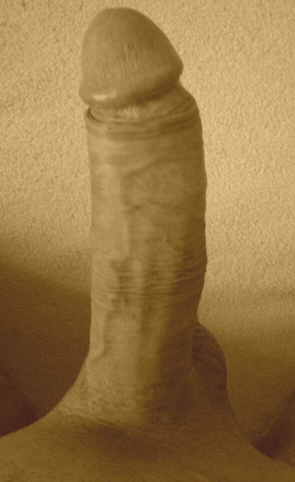 sepia ;) - Wypychacz