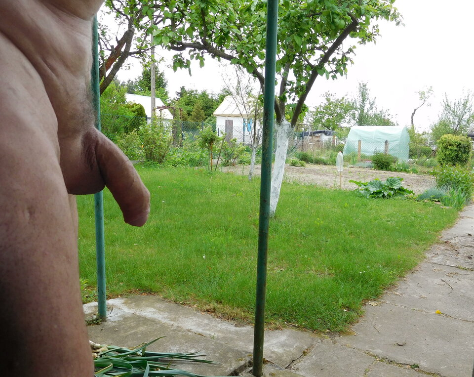 DSCN5221.JPG - Wlodekass