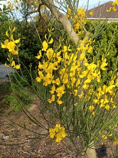 Ktokolwiek wie, kto kolwiek zna.