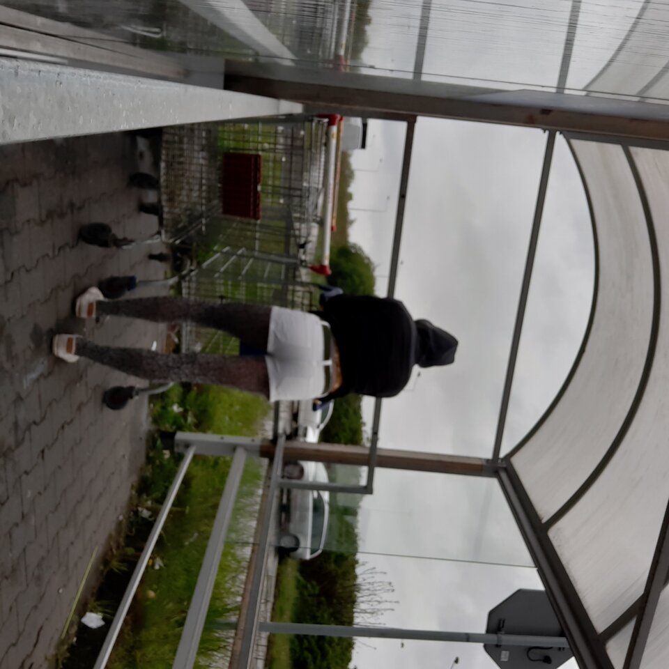 20200519_141515.jpg - Transpola