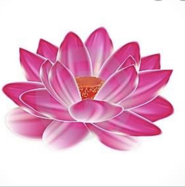 7E3A75CD-B21E-45E4-8239-061FDCF6264F.jpeg - WaterLily