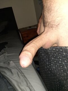 733_1000.jpg
