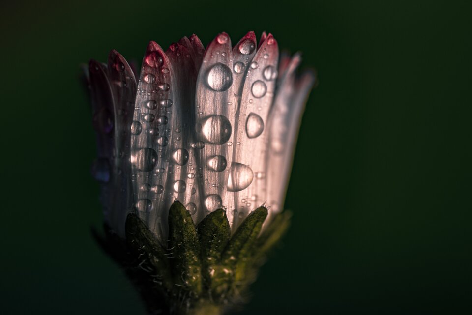 Coś małego 2 - mystic