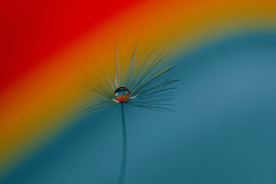 Coś małego 3 - mystic