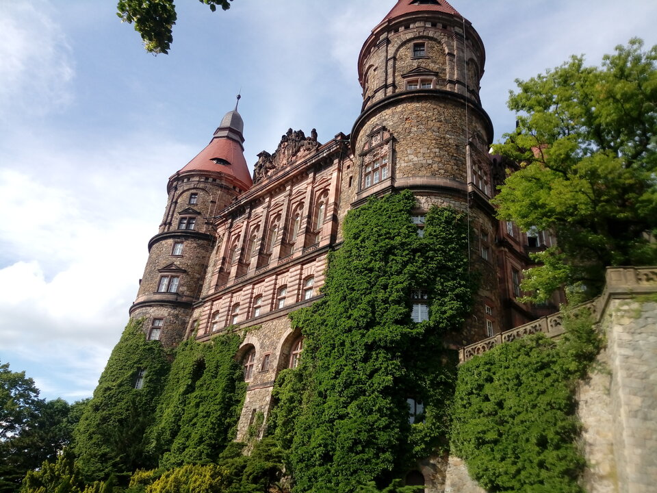 20190621_170655.jpg - minoliz