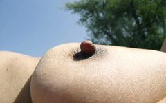 Skąpany w słonku .jpg