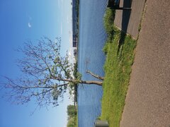 IMG_20200517_173315_BURST019.jpg