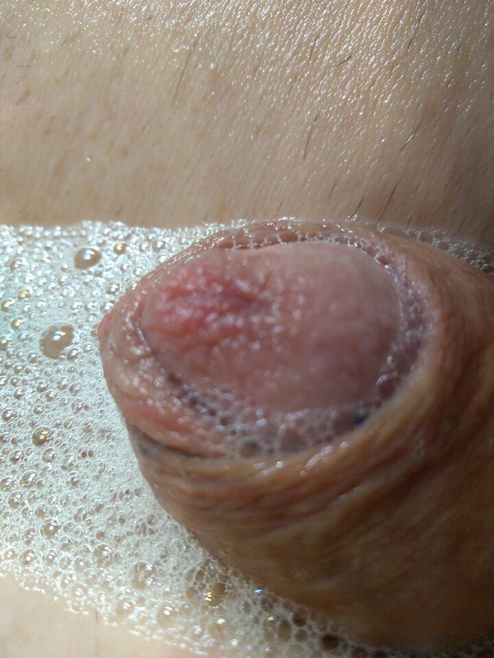 15902150658293186757163422646561.jpg - matuzalem000