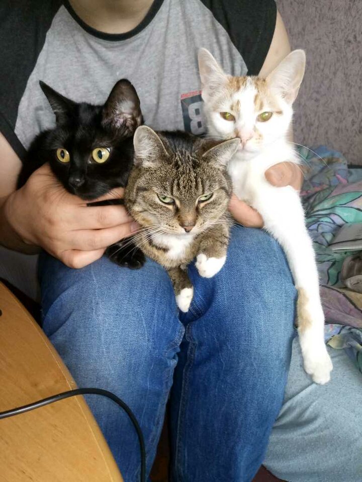 20190202_150341(1).jpg - RPGfan