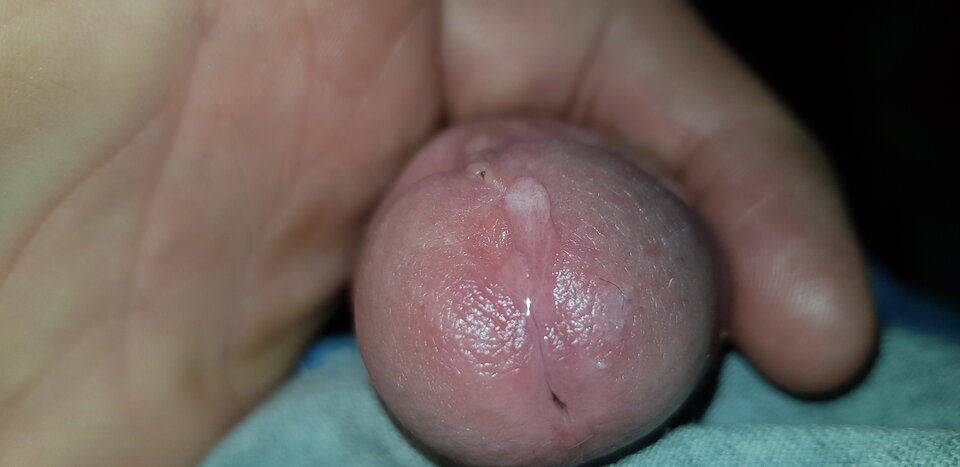 20200524_104225.jpg - RYSIO666