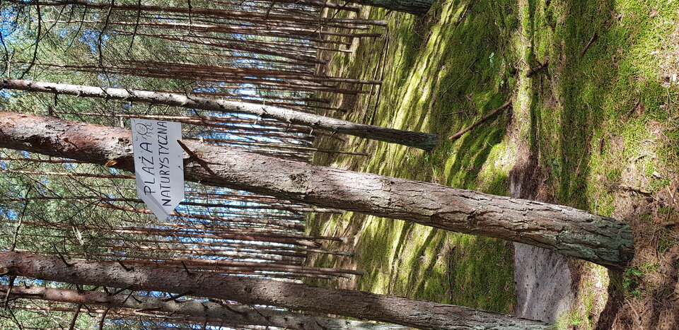 Tęsknimy za swobodnym opalaniem się 😉 - parka36kra