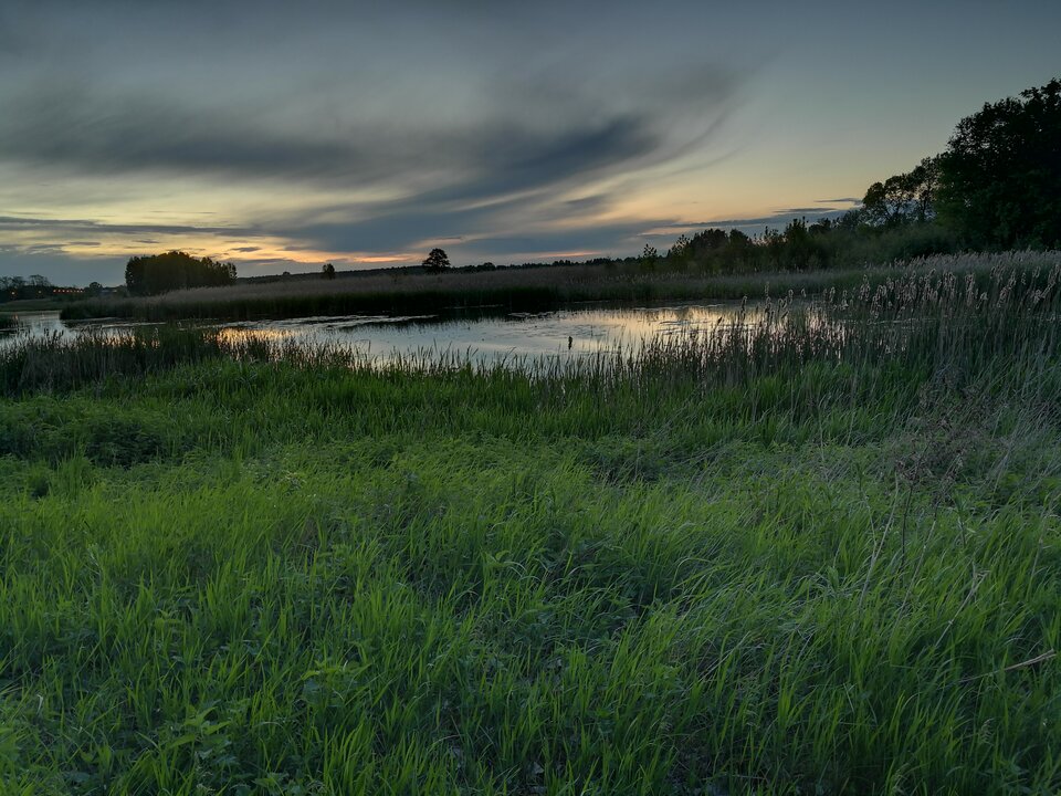 IMG_20200524_210905.jpg - impulss