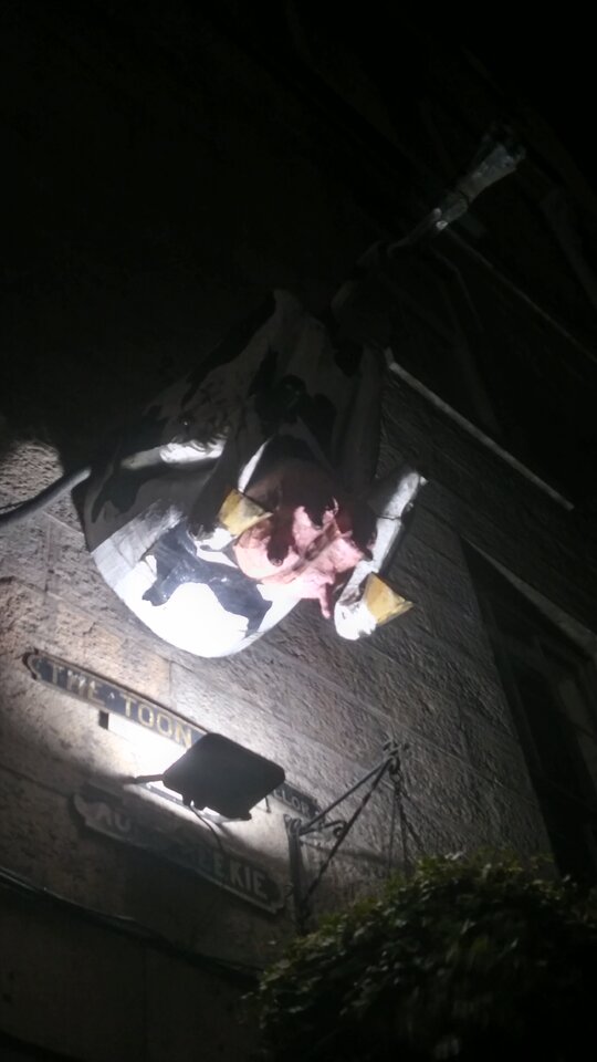 IMG_20200221_203514.jpg - moby_dick