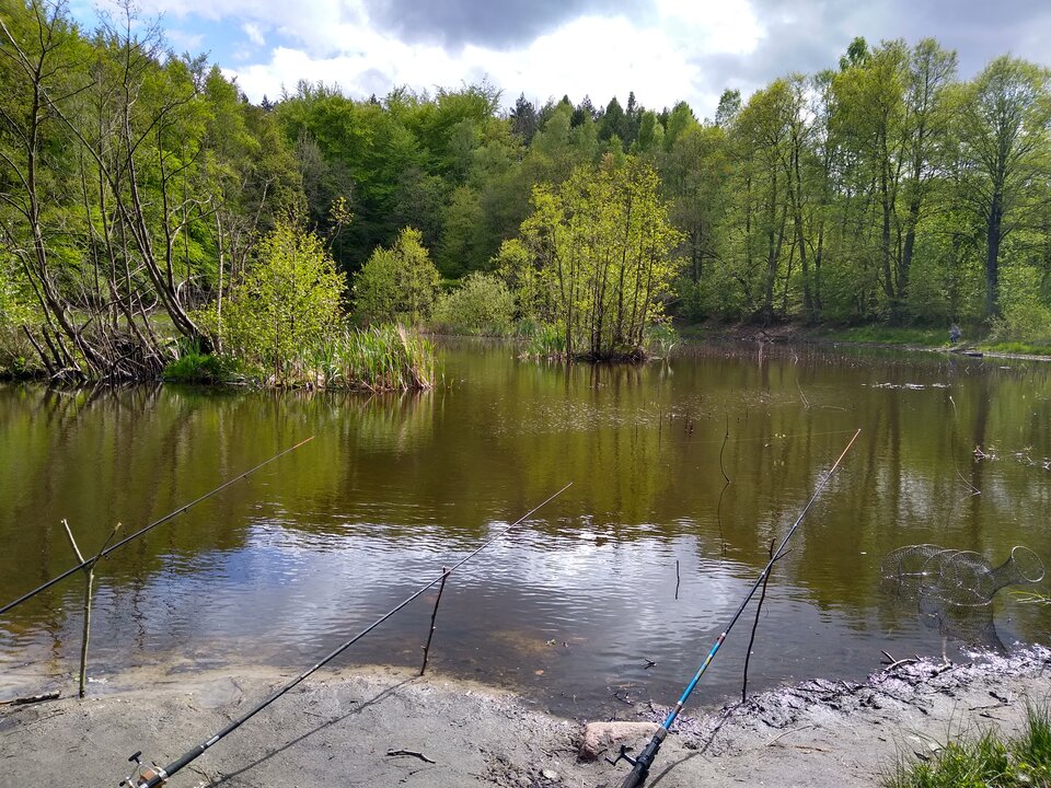 IMG_20200517_154112962_HDR.jpg - rafi07