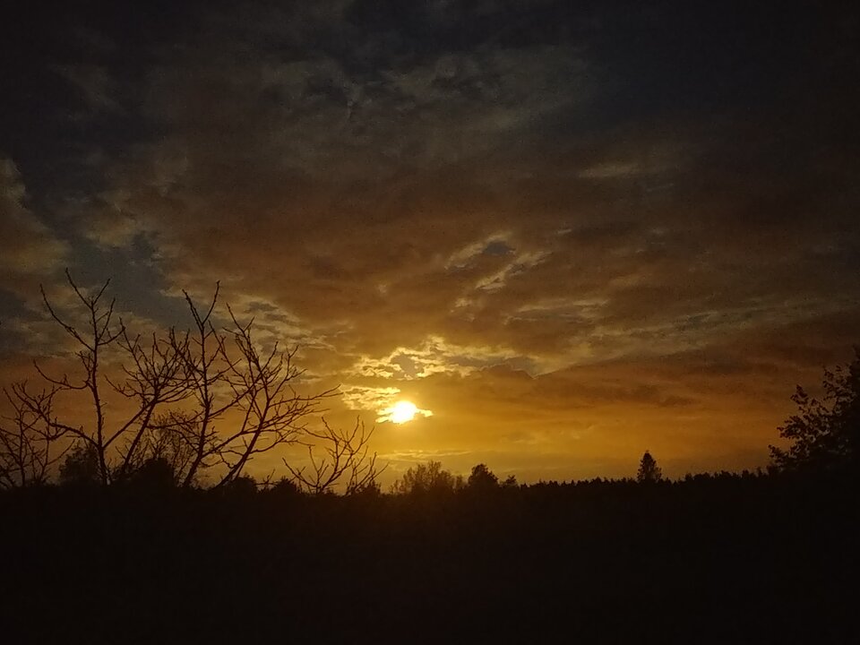 20200507_213044.jpg - NauczeCieLatac