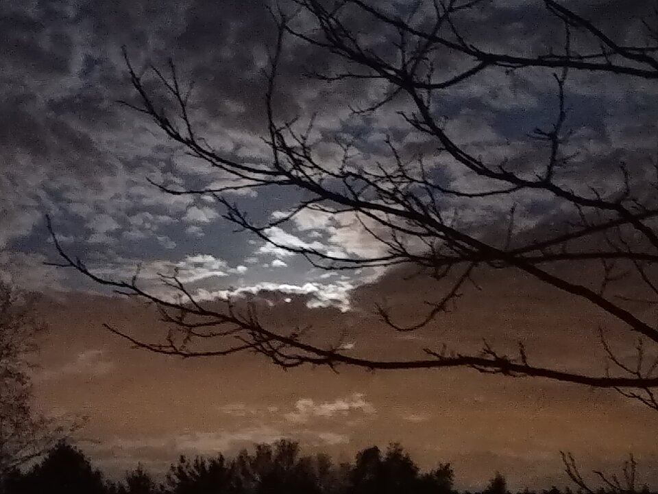 20200507_215003.jpg - NauczeCieLatac