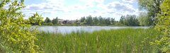 IMG_20200522_155429738.jpg