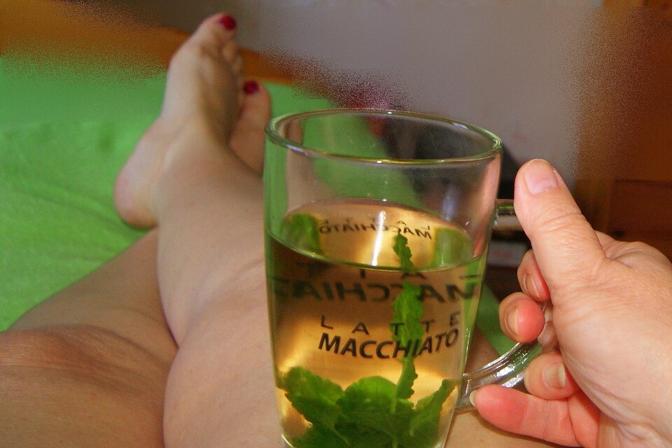 Aromatyczna herbata miętowa bio - Ajsza69