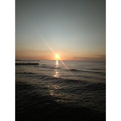 IMG_20200526_180152.jpg