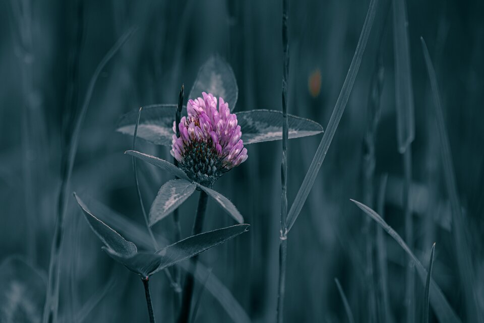 Selektywnie - mystic