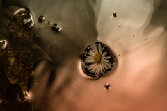 Prawie jak płynny metal...