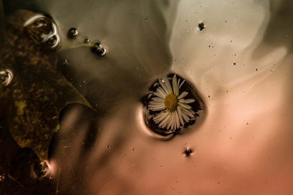 Prawie jak płynny metal... - mystic