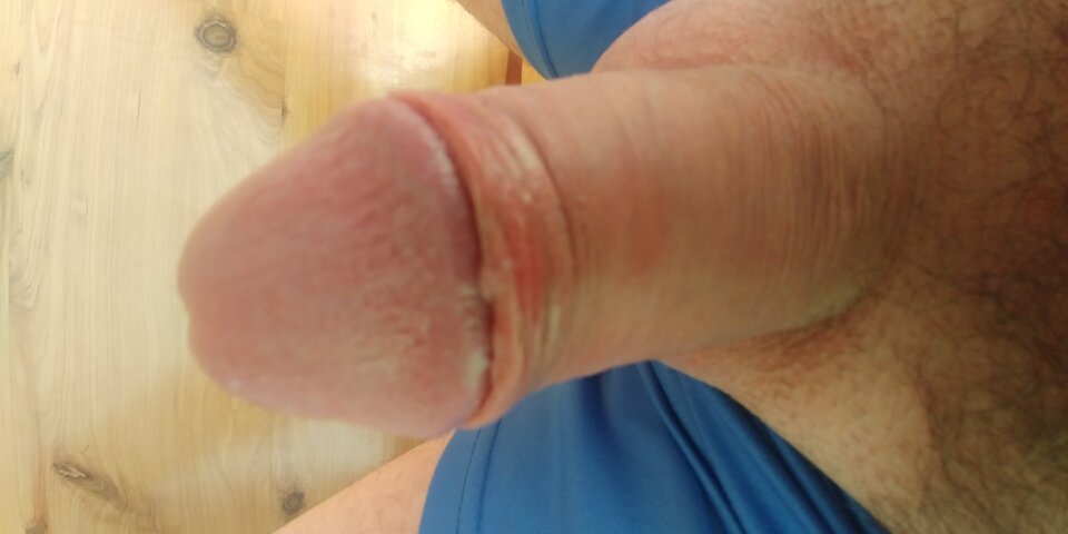 15905779898441336197600.jpg - Tomiak