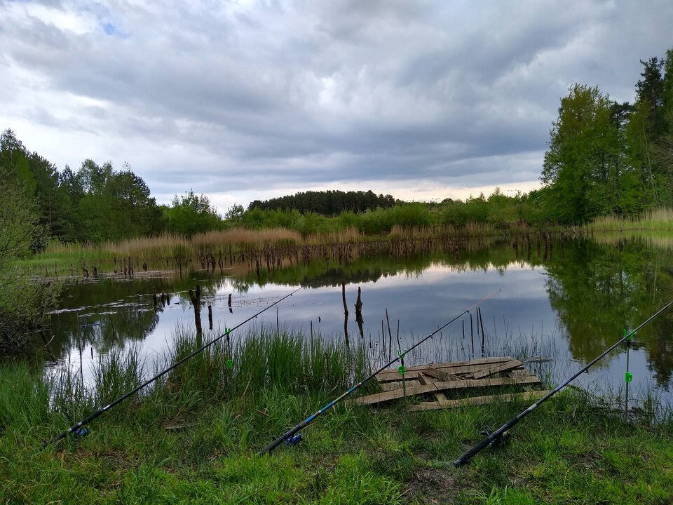 IMG_20200527_155342446_HDR.jpg - rafi07