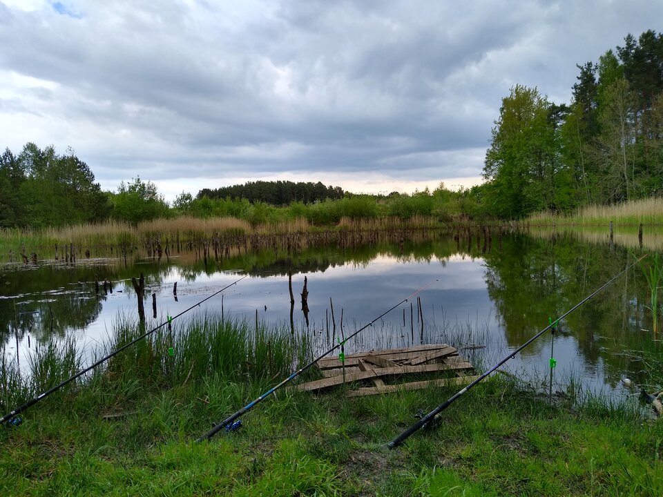 IMG_20200527_155330974_HDR.jpg - rafi07