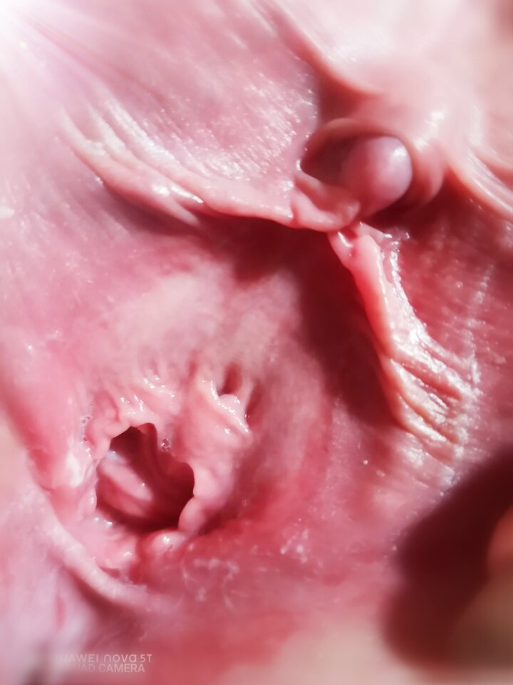 IMG_20200527_224050.jpg - NatWalSz