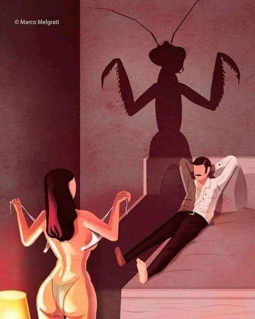 80647843_2492257257759725_7189865666860548096_n.jpg - wiopio