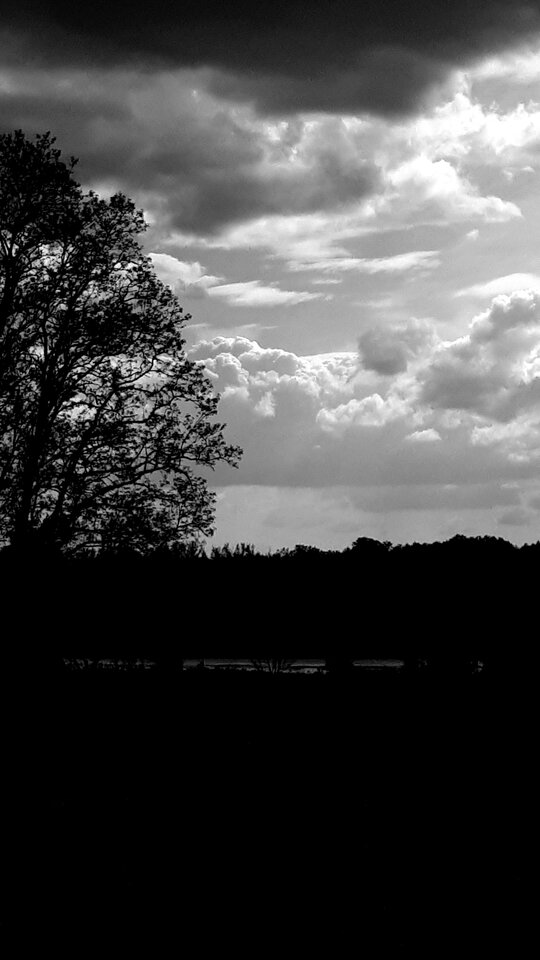 20200528_153407.jpg - Tabas0