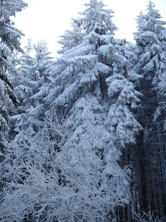 Ustroń styczeń'09 026.jpg