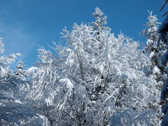 Ustroń styczeń'09 035.jpg