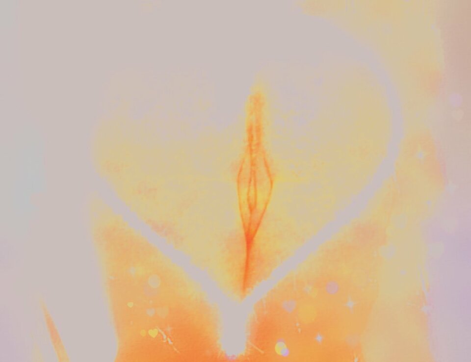 USER_SCOPED_TEMP_DATA_orca-image-857343866.jpeg - MBSL